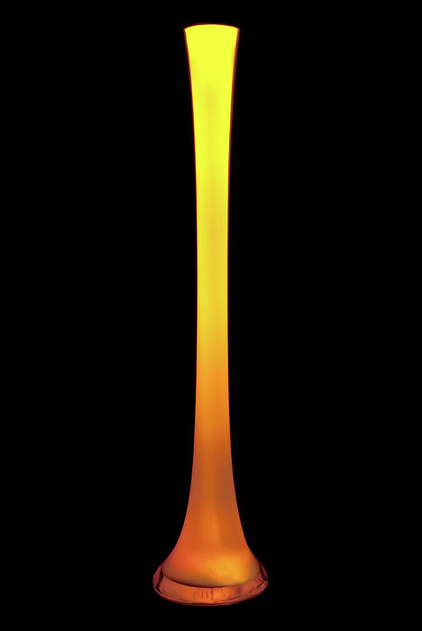 Tall Yellow Vase Photograph
