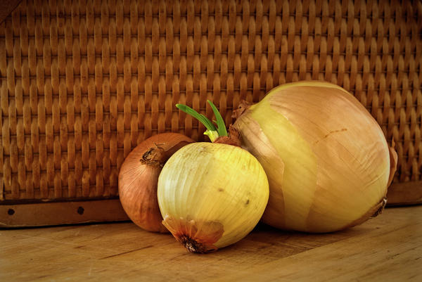 Three Onions Photograph