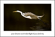 Poster / Fine Art Print
