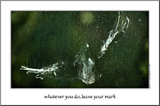Poster / Fine Art Print